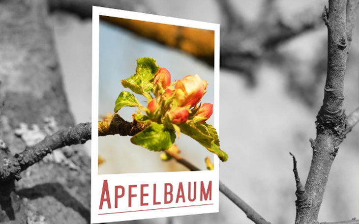 Zbiórka Zbieram na polaroida - marzenie - zdjęcie główne