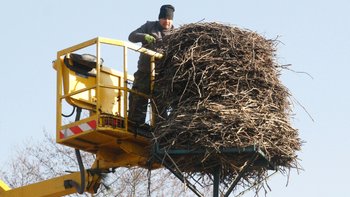 Zbiórka Fundusz Remontowy Bocianich Gniazd - miniaturka zdjęcia