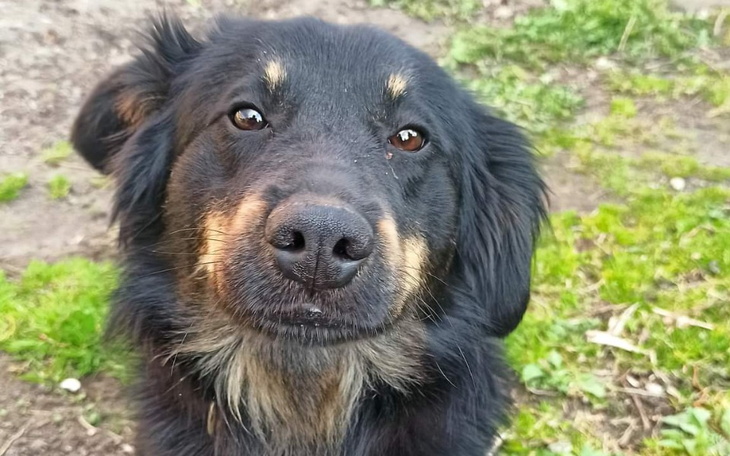 Zbiórka Maylo stracił dom... - zdjęcie główne