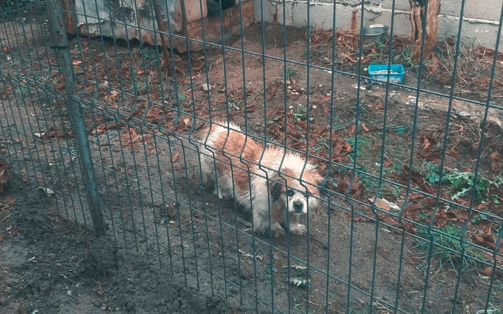 Zbiórka Studium samotnego życia - zdjęcie główne