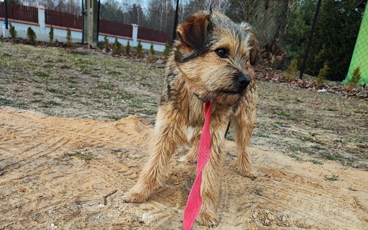 Zbiórka Trzy tygodnie koczowała w polu - zdjęcie główne