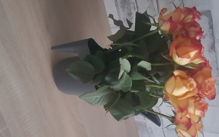 Zbiórka Maryna z Ukrainy - zdjęcie główne