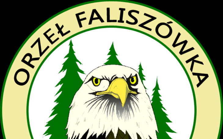 Zbiórka Pomoc dla LKS Orzeł Faliszówka - zdjęcie główne
