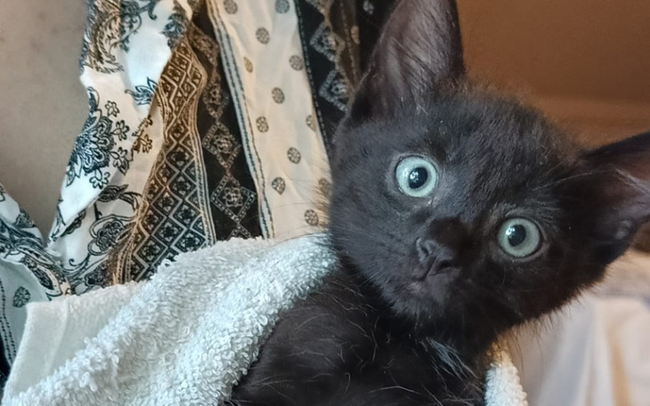 Zbiórka Na badanie Winstona i 5 sióstr - zdjęcie główne