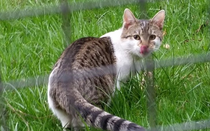 Zbiórka Bezdomny Bianchi ❤ - zdjęcie główne
