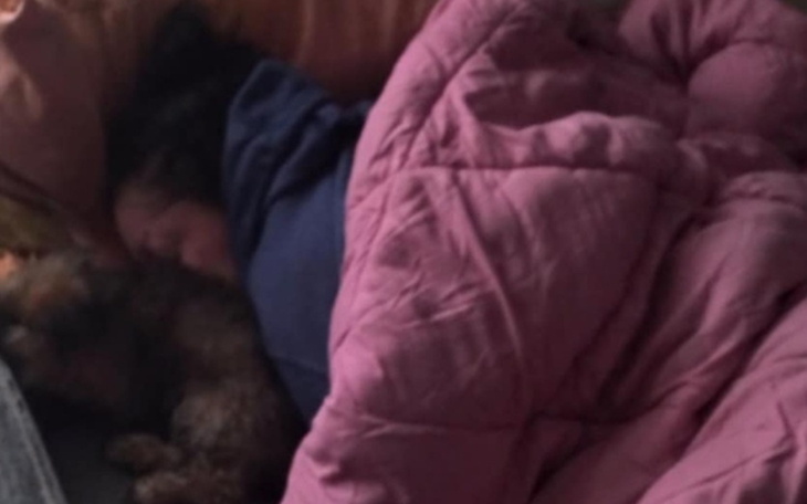 Dziewczynka śpi z psem pod różowym kocem.