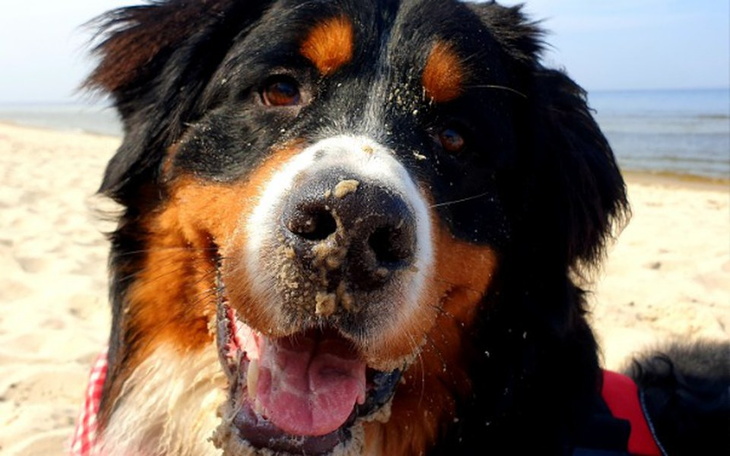 Zbiórka Artroskopia stawów Bruna - zdjęcie główne