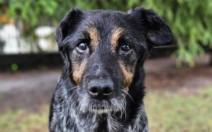 Zbiórka Ratujmy bohaterskiego Kazia - zdjęcie główne