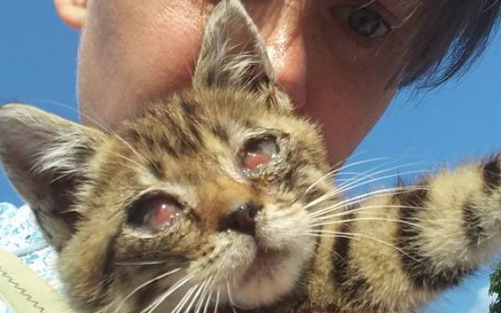 Zbiórka Chcę zobaczyć świat - zdjęcie główne