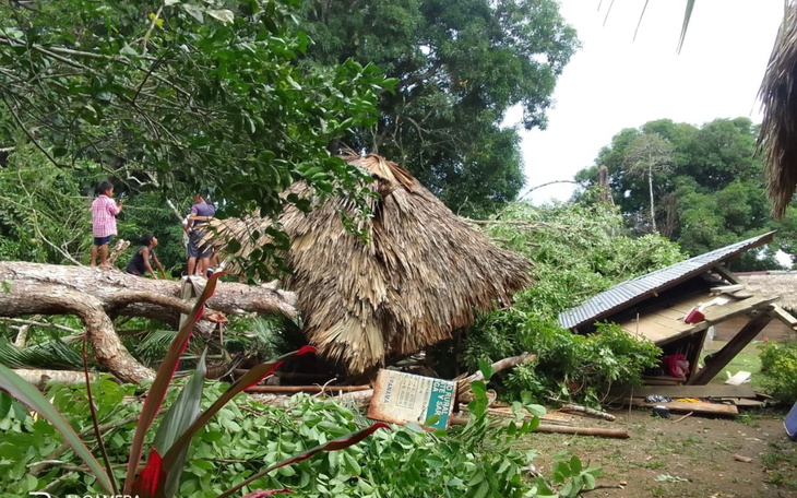Zniszczony dach chaty po burzy, otoczony powalonymi drzewami.
