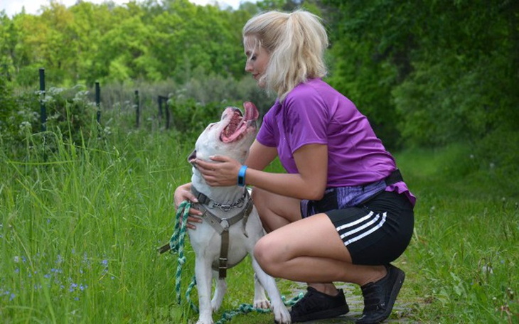 Zbiórka Amstaffy Niczyje pomagajmy razem - zdjęcie główne
