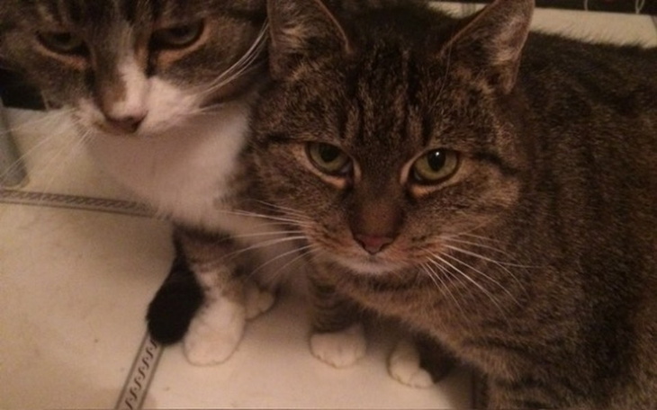 Zbiórka Leczenie Zośki i Marka - zdjęcie główne