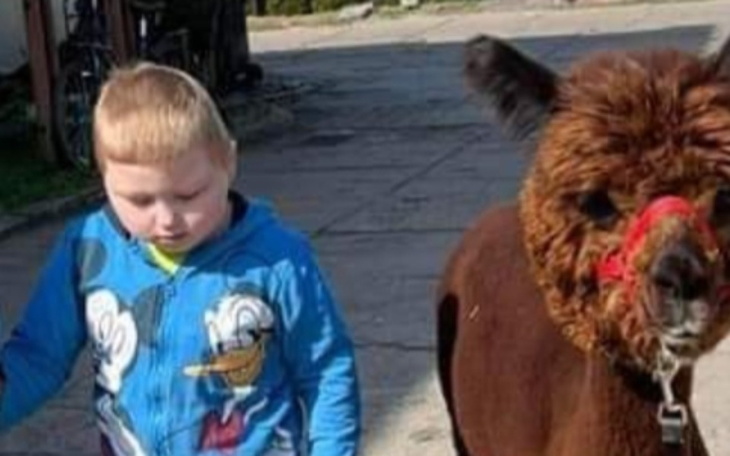 Zbiórka Mówik i terapia dla Mariuszka - zdjęcie główne