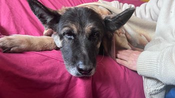 Zbiórka Podaruj Ciepło Chacinym - miniaturka zdjęcia