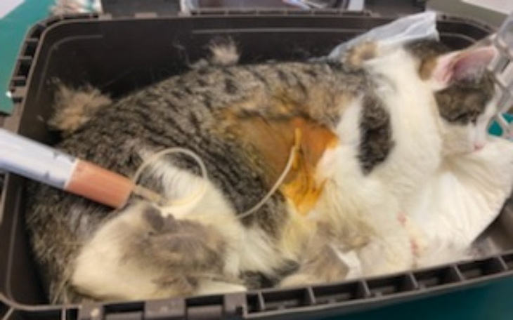 Zbiórka Wesprzyj Krzysia w walce o życie - zdjęcie główne