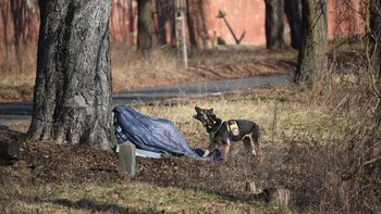 Zbiórka Pomoc psu ratowniczemu Harpii - miniaturka zdjęcia