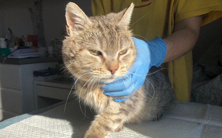 Osoba z opatrunkiem na nodze, widok na kontuzjowaną kończynę.