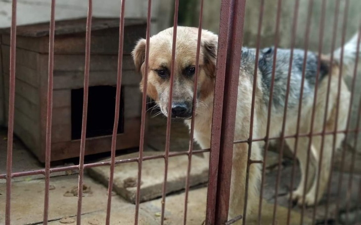 Zbiórka Wydali na mnie wyrok - zdjęcie główne