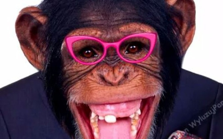 Zbiórka Wymarzony Galaxy s6 - zdjęcie główne