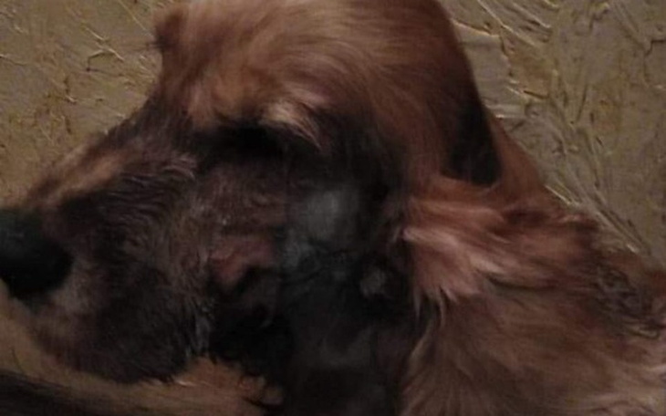 Zbiórka Zbieramy na leczenie po operacji - zdjęcie główne