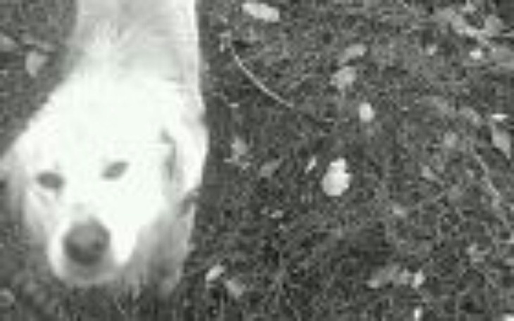 Zbiórka Proszę o pomoc w spłacie pożycz - zdjęcie główne