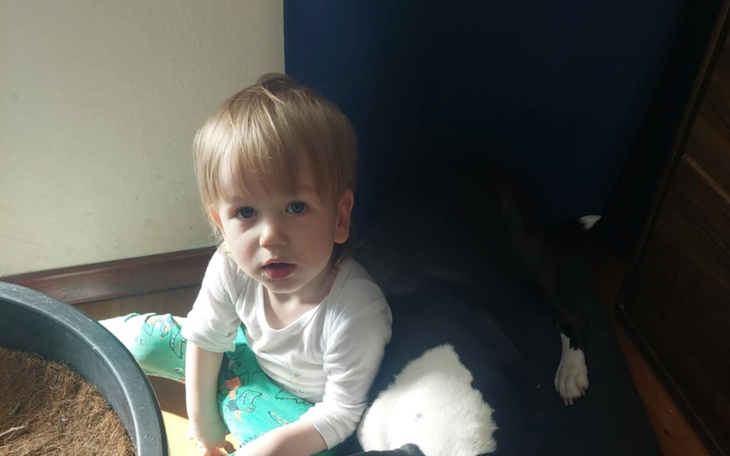 Małe dziecko bawiące się obok psa w domu.