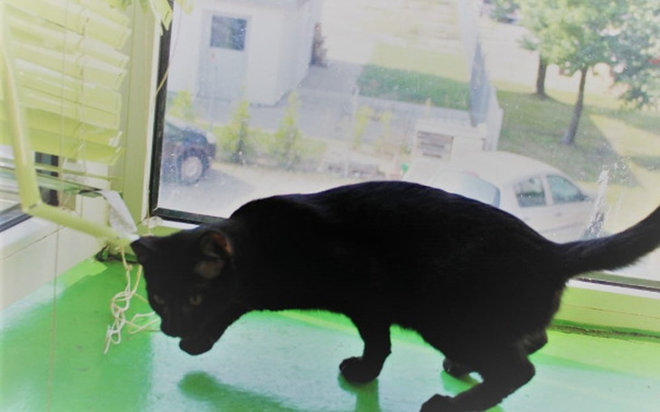 Zbiórka Samo się popsuło - zdjęcie główne