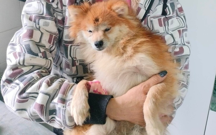 Zbiórka Pijane szczęście Tulinki - zdjęcie główne