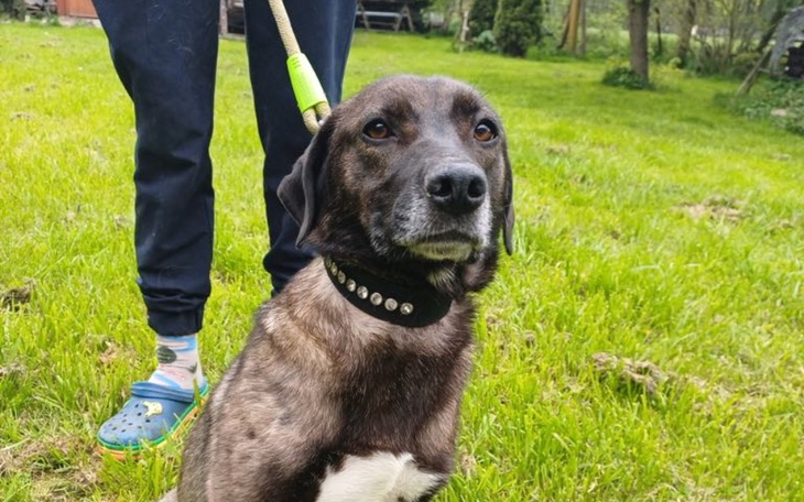 Zbiórka Łatki Bardzo Dziękują - zdjęcie główne