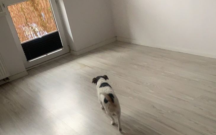 Zbiórka Uratujmy mieszkanie cioci - zdjęcie główne