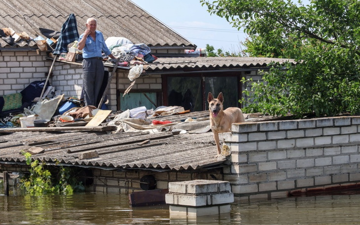 Mężczyzna na dachu zalanego domu, z psem obok.