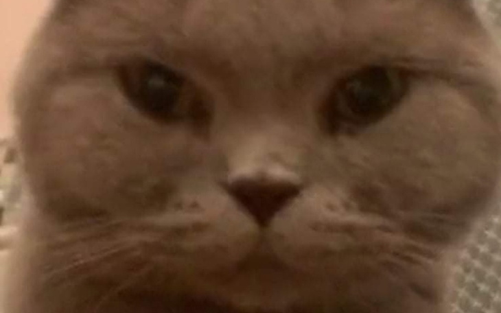 Zbiórka Potrzebuję na rachunki i jedzeni - zdjęcie główne