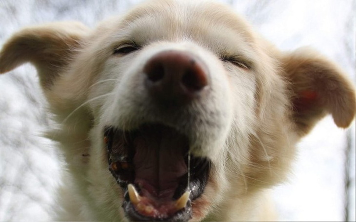 Zbiórka Yogi OSTATNIE STARCIE-na puszki - zdjęcie główne