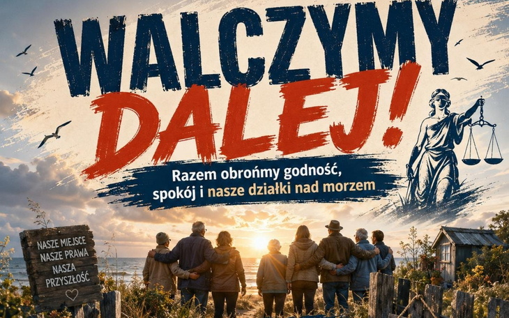 Kotek z żółtym opatrunkiem w klatce transportowej