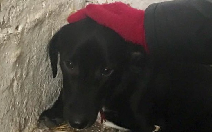 Zbiórka Borys! Zbieramy na paliwo! - zdjęcie główne