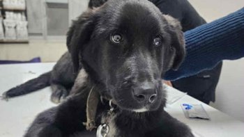 Zbiórka Z dalekiego zakątka piekla do... - miniaturka zdjęcia