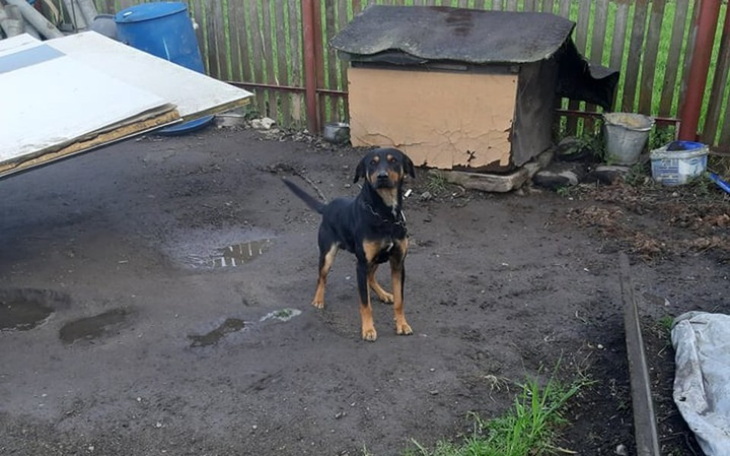 Zbiórka Trudne słowo-empatia - zdjęcie główne