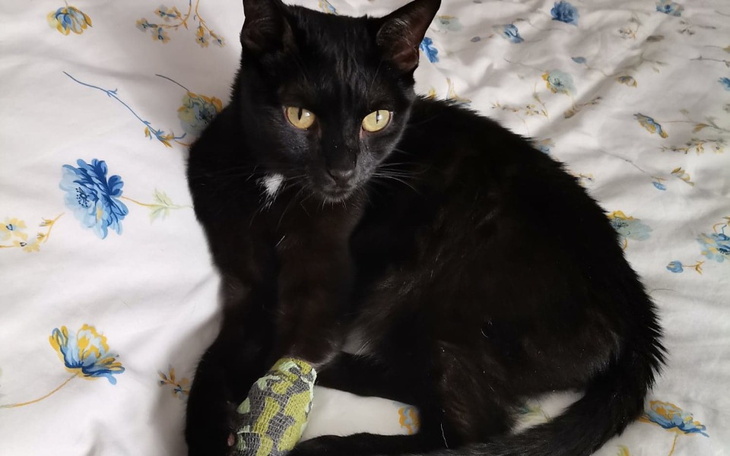 Zbiórka Mrunio walczy o życie - zdjęcie główne