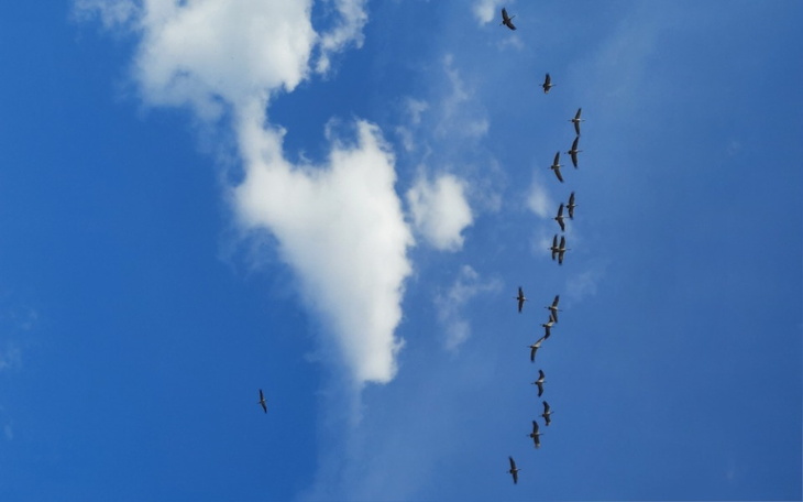 Zbiórka Zbiórka pieniądzy na opał - zdjęcie główne