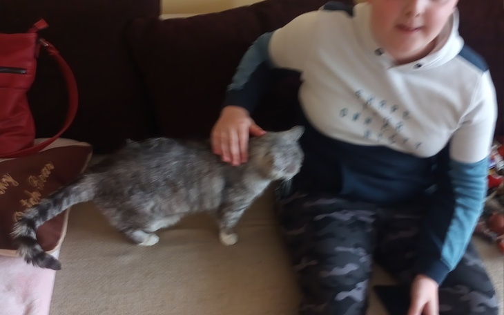 Zbiórka Komunia Święta syna - zdjęcie główne