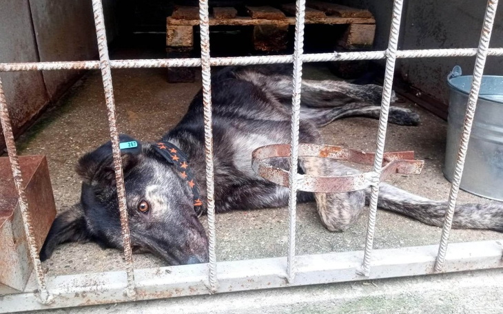 Zbiórka Brakuje na transport Pomocy - zdjęcie główne