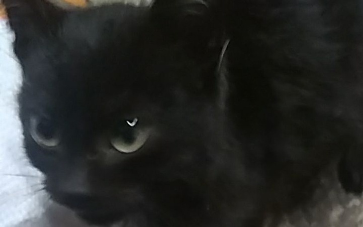 Zbiórka Na lekarstwa dla Tadka - zdjęcie główne