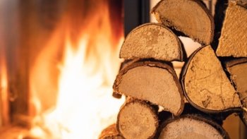 Zbiórka Pomóż nam przetrwać zimę - miniaturka zdjęcia