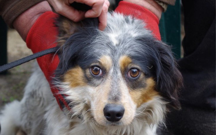 Zbiórka Kiki spod eternitu... - zdjęcie główne