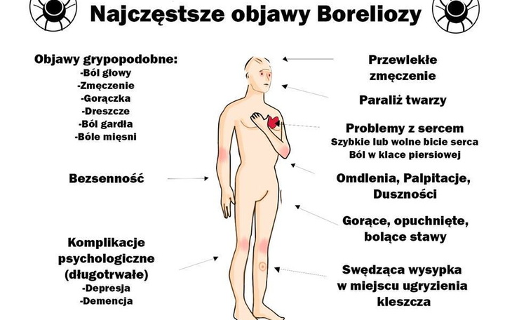 Zbiórka Na ponowny powrót choroby - zdjęcie główne