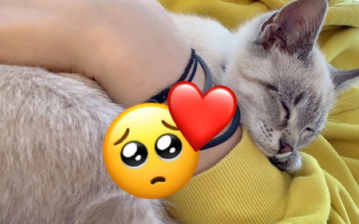 Zbiórka POMÓŻ małemu Lucjankowi - zdjęcie główne