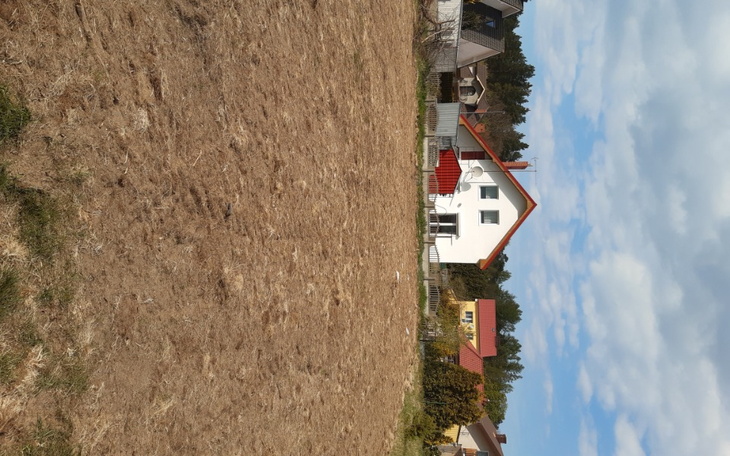 Zbiórka Na budowę ogrodzenia - zdjęcie główne