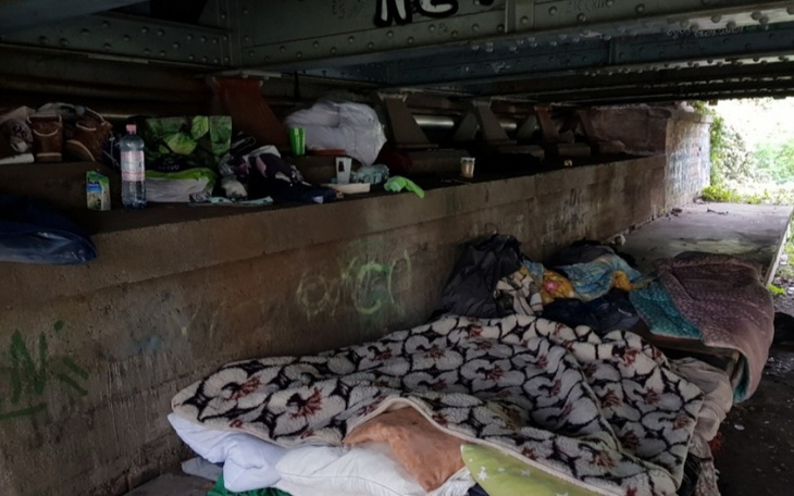 Zbiórka Pomóż Oli przetrwać zimę - zdjęcie główne