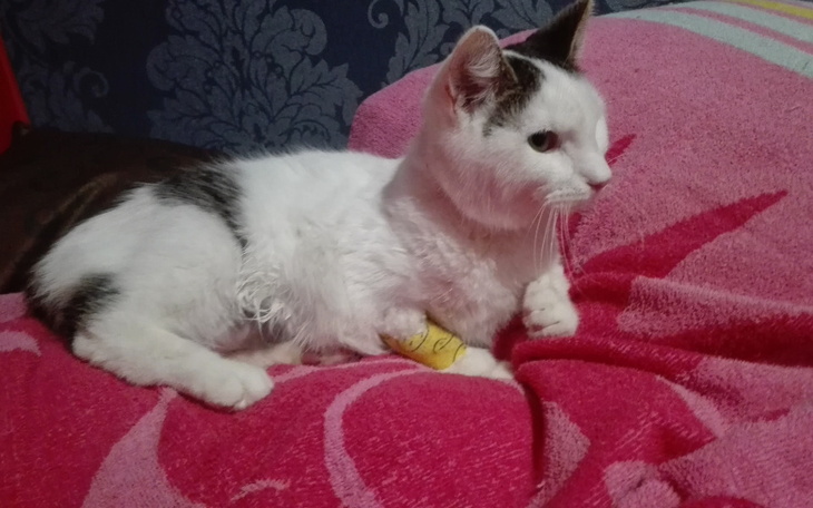 Zbiórka Franio umiera - zdjęcie główne