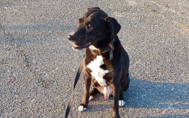 Zbiórka Priapizm - konieczna operacja - zdjęcie główne